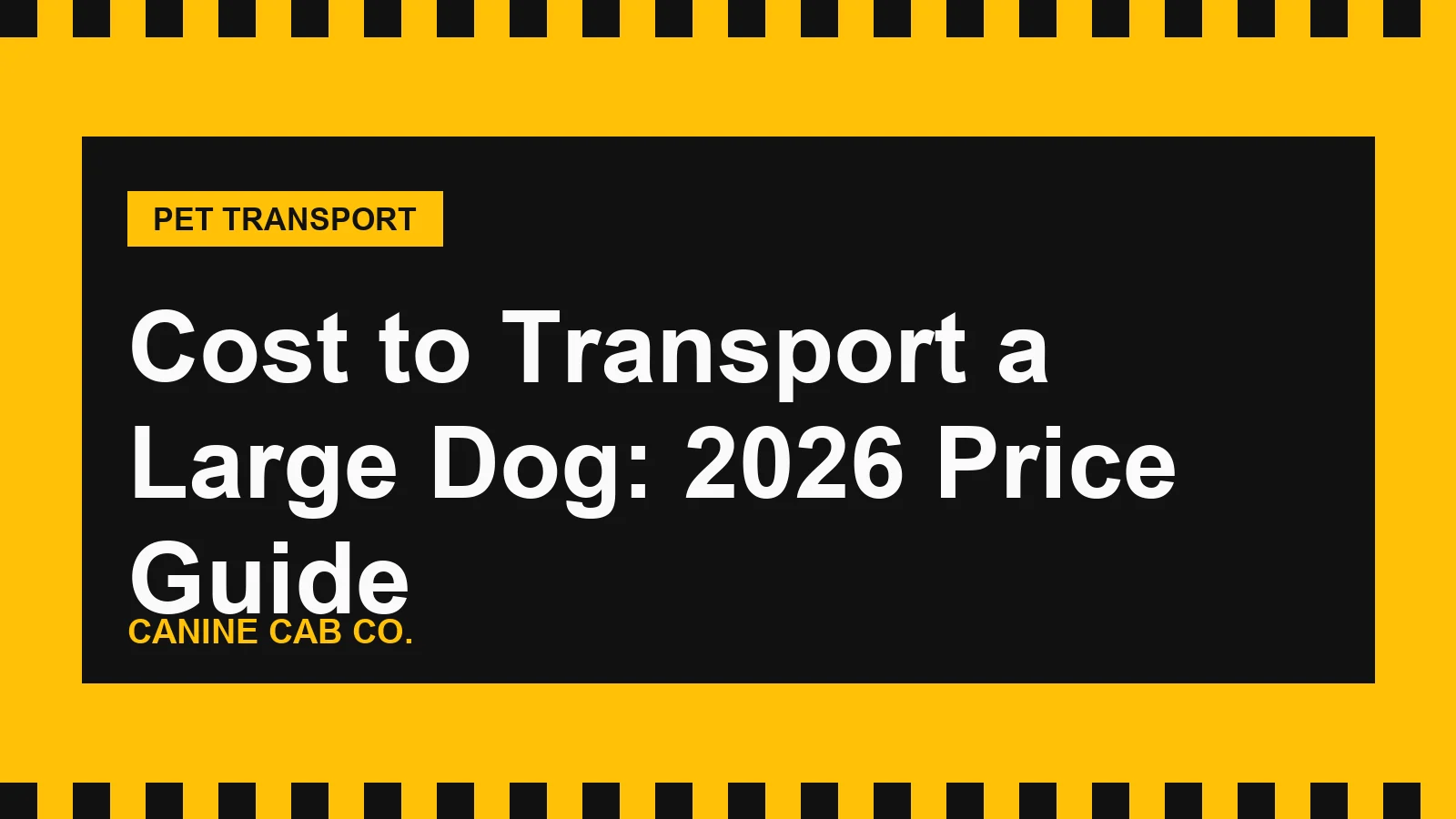 Large German shepherd sitting next to a taxi-yellow airline shipping crate before ground and air transport