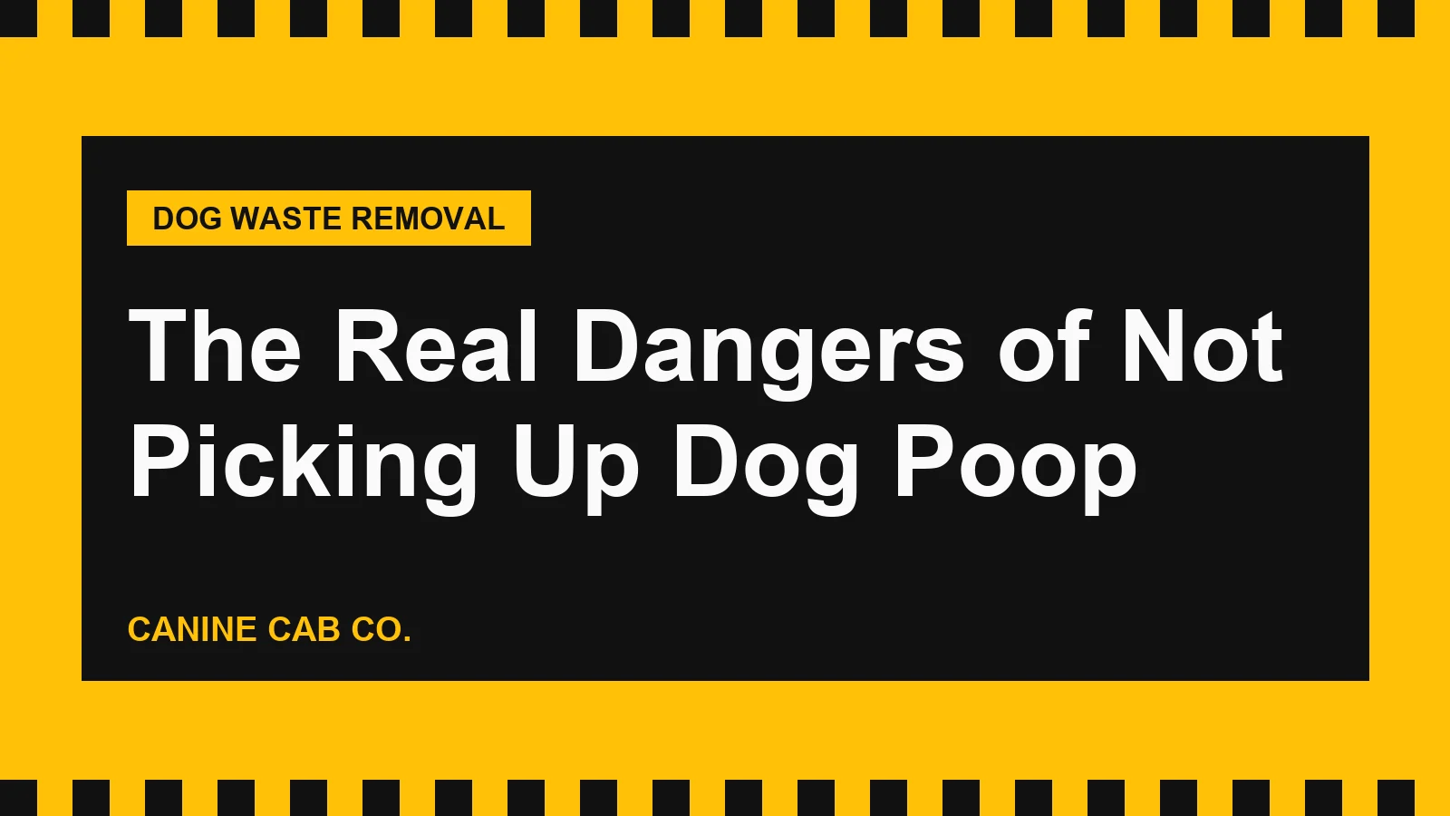 The Real Dangers of Not Picking Up Dog Poop