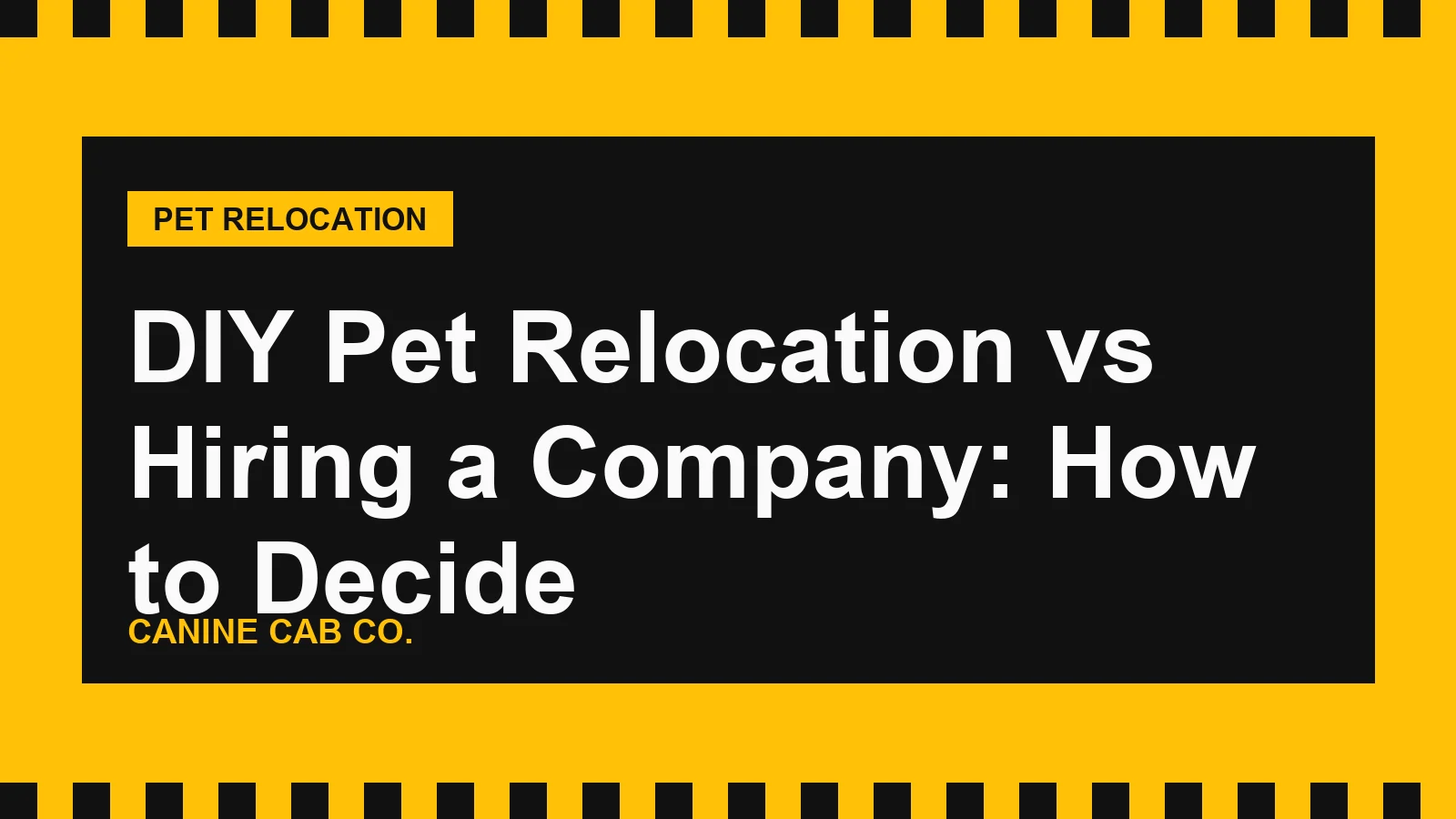 DIY Pet Relocation vs Hiring a Company: How to Decide