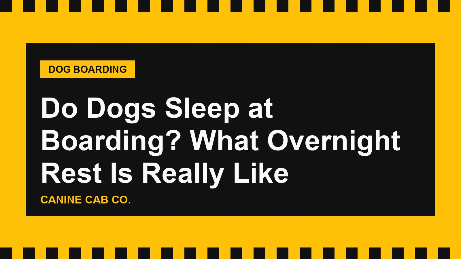 Do Dogs Sleep at Boarding? What Overnight Rest Is Really Like