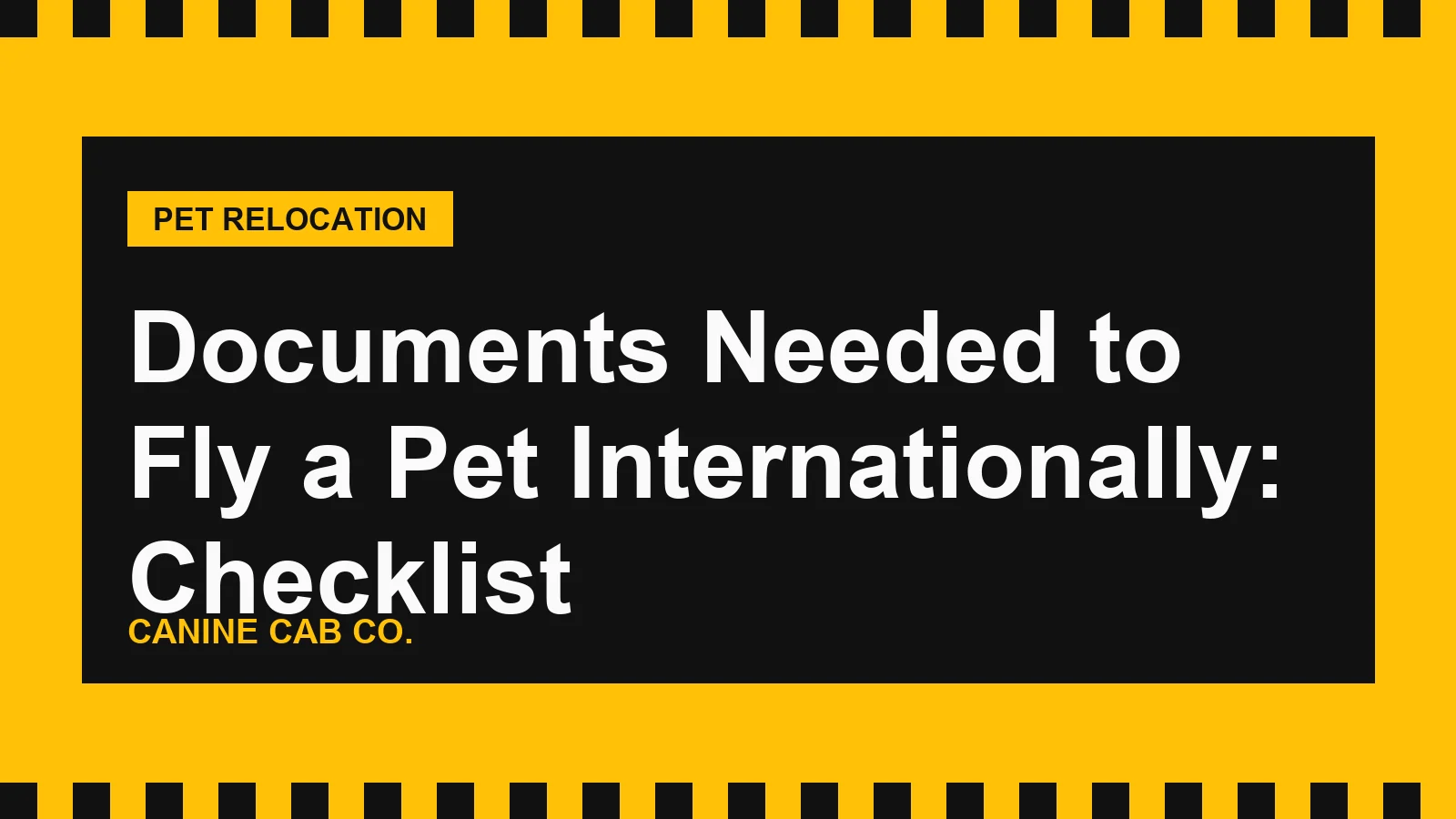 Documents Needed to Fly a Pet Internationally: Checklist