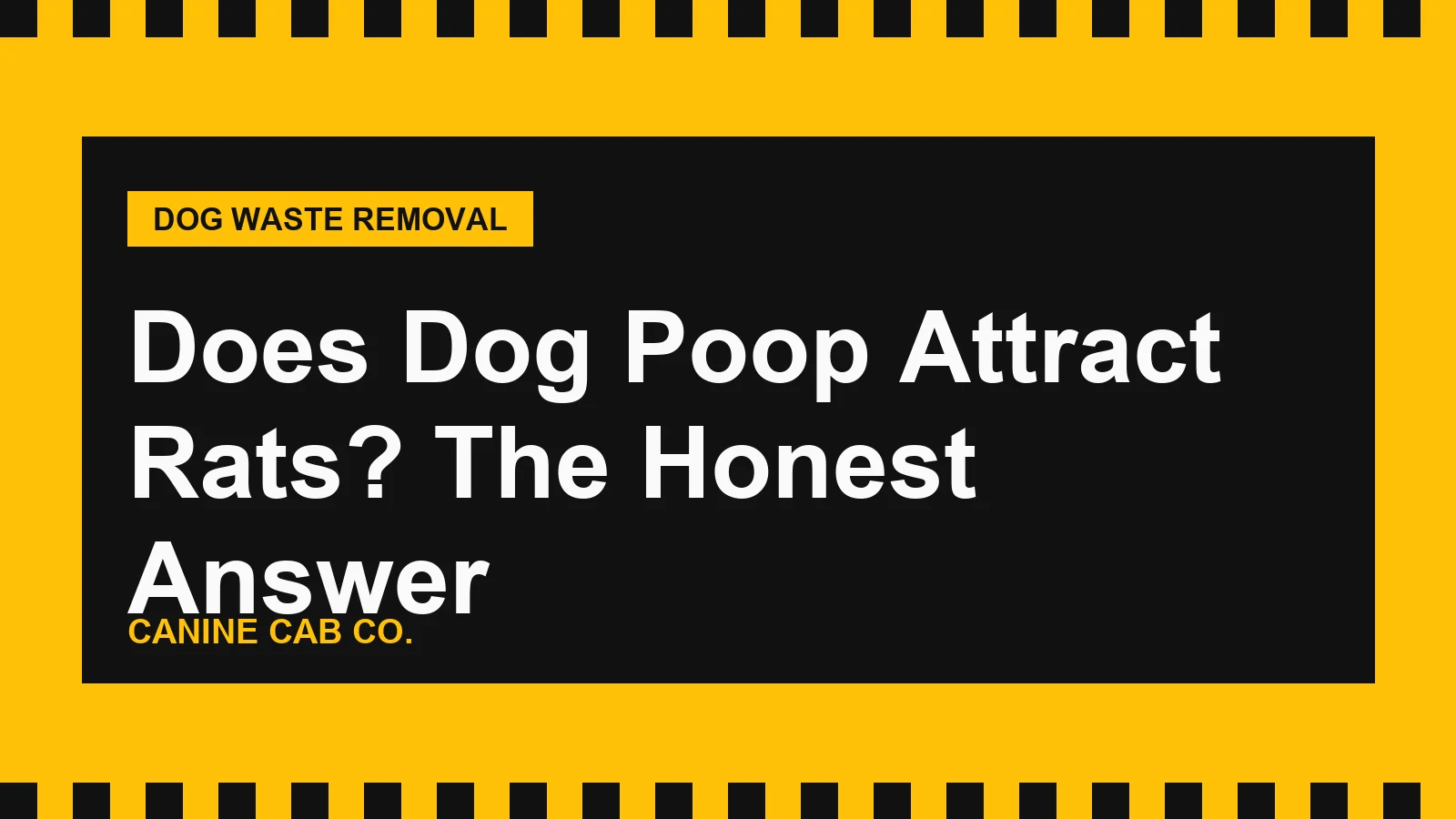 Does Dog Poop Attract Rats? The Honest Answer