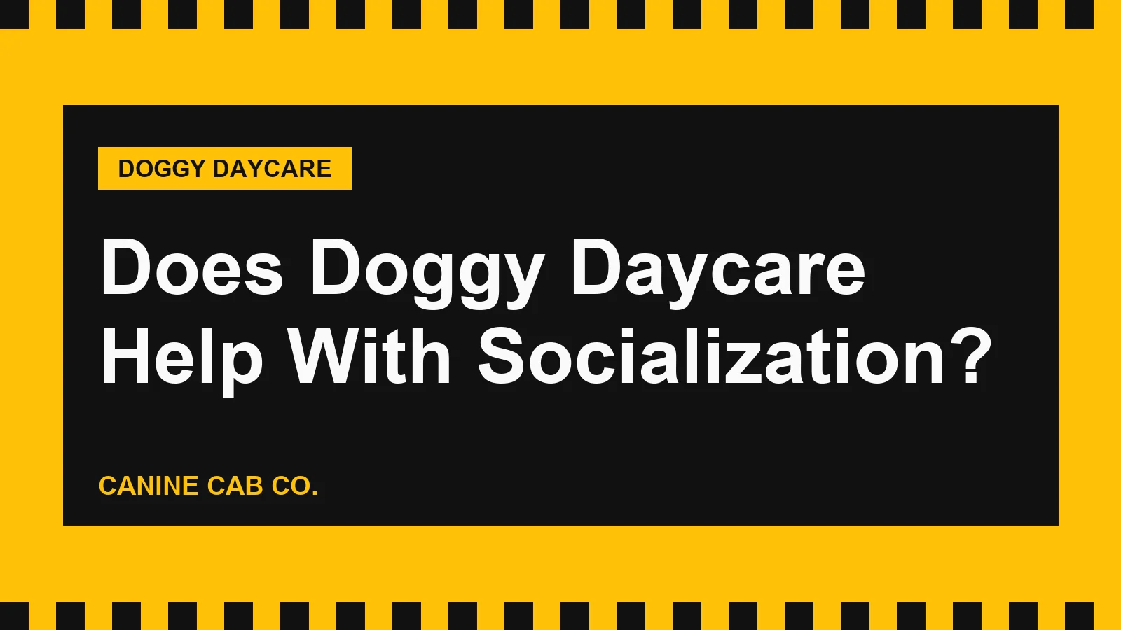 Does Doggy Daycare Help With Socialization?