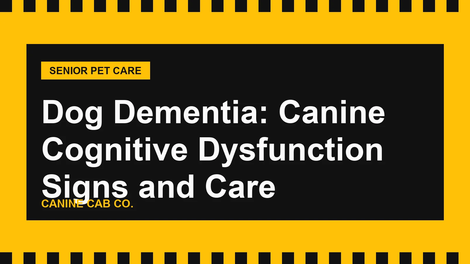 Dog Dementia: Canine Cognitive Dysfunction Signs and Care