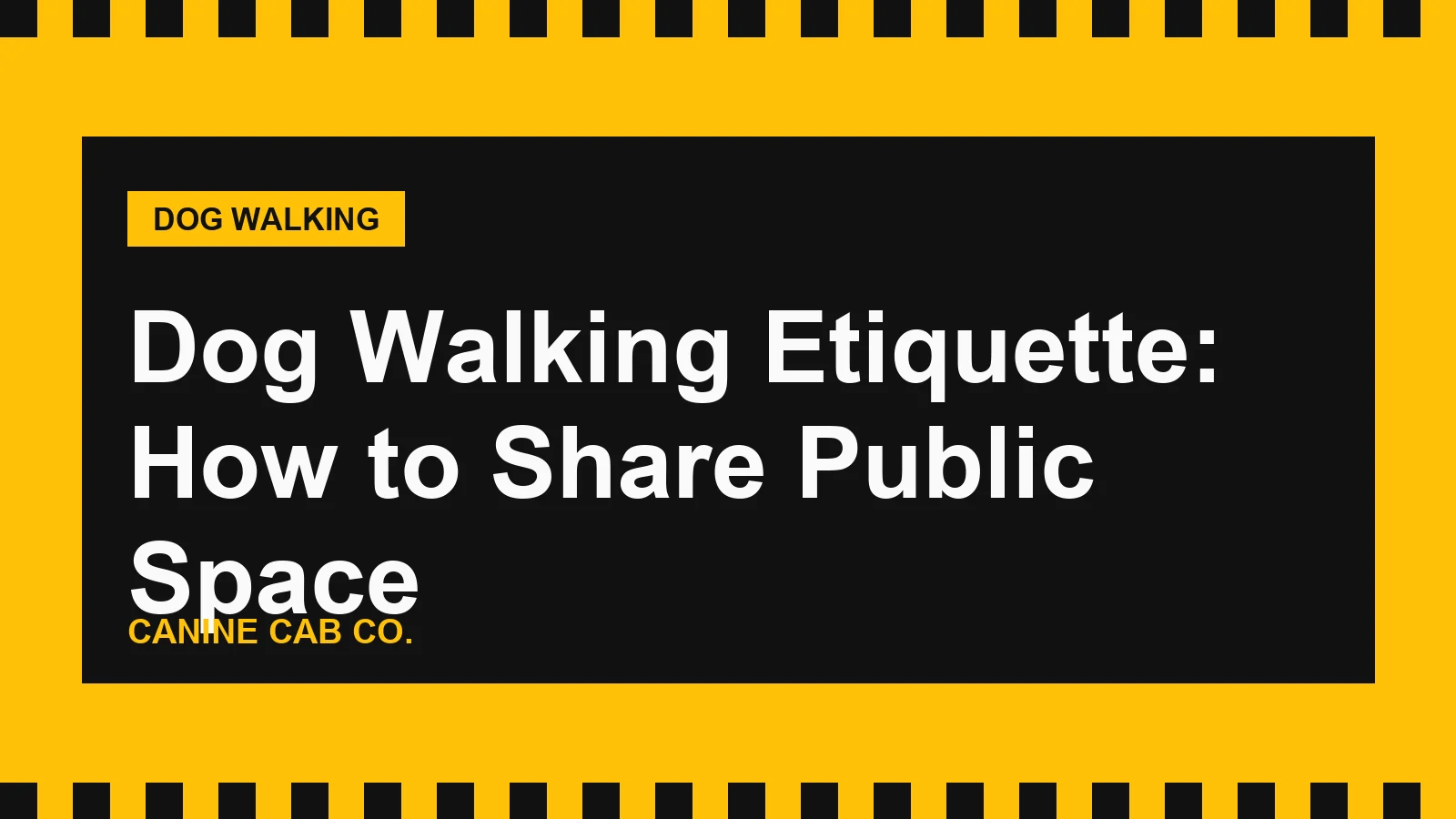 Dog Walking Etiquette: How to Share Public Space