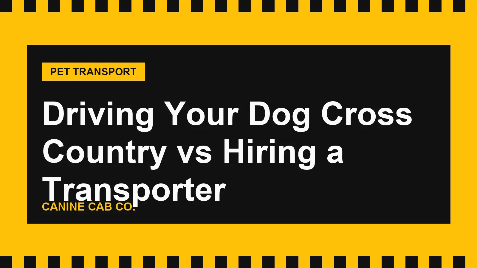 Driving Your Dog Cross Country vs Hiring a Transporter
