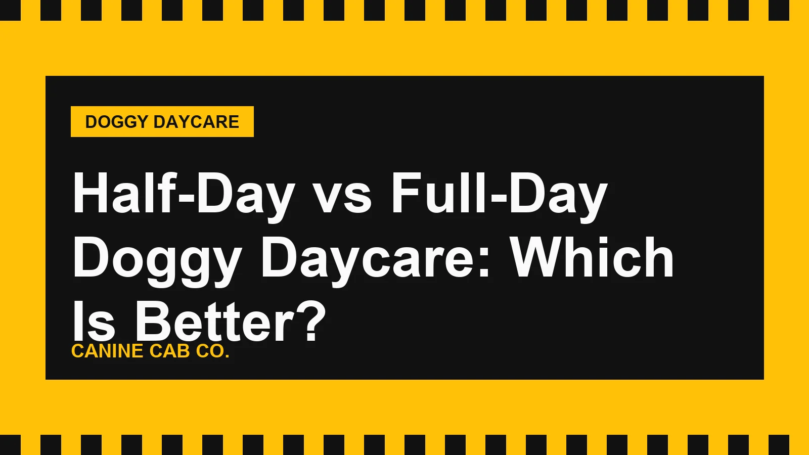 Half-Day vs Full-Day Doggy Daycare: Which Is Better?