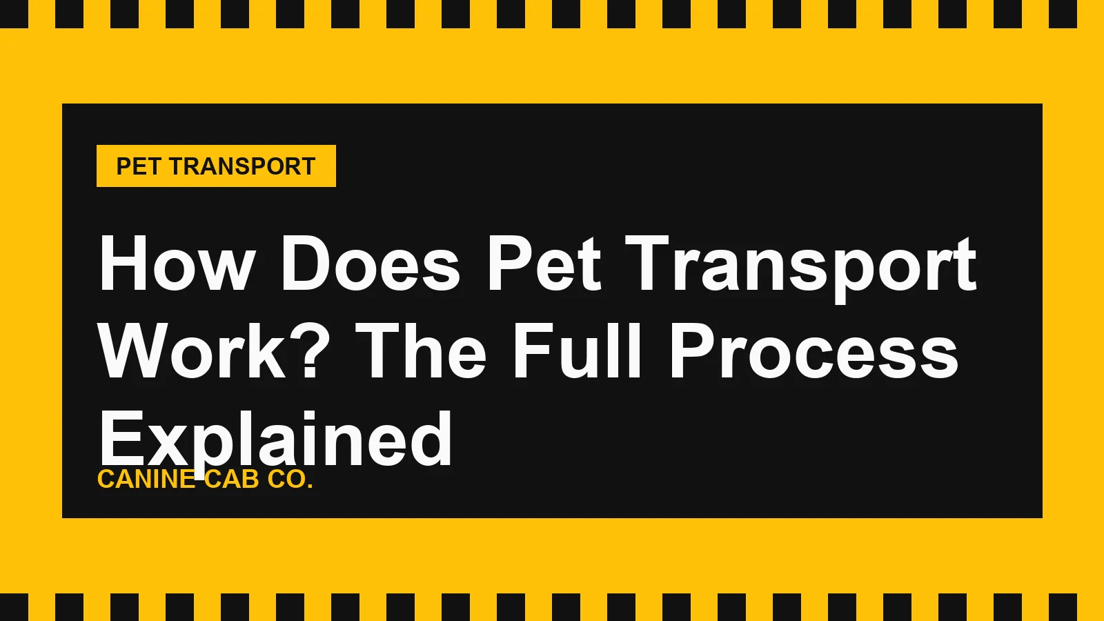 Calm dog in a travel crate next to a taxi-yellow pet transport van being loaded for a journey