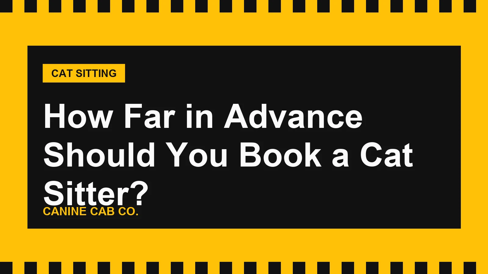 How Far in Advance Should You Book a Cat Sitter?