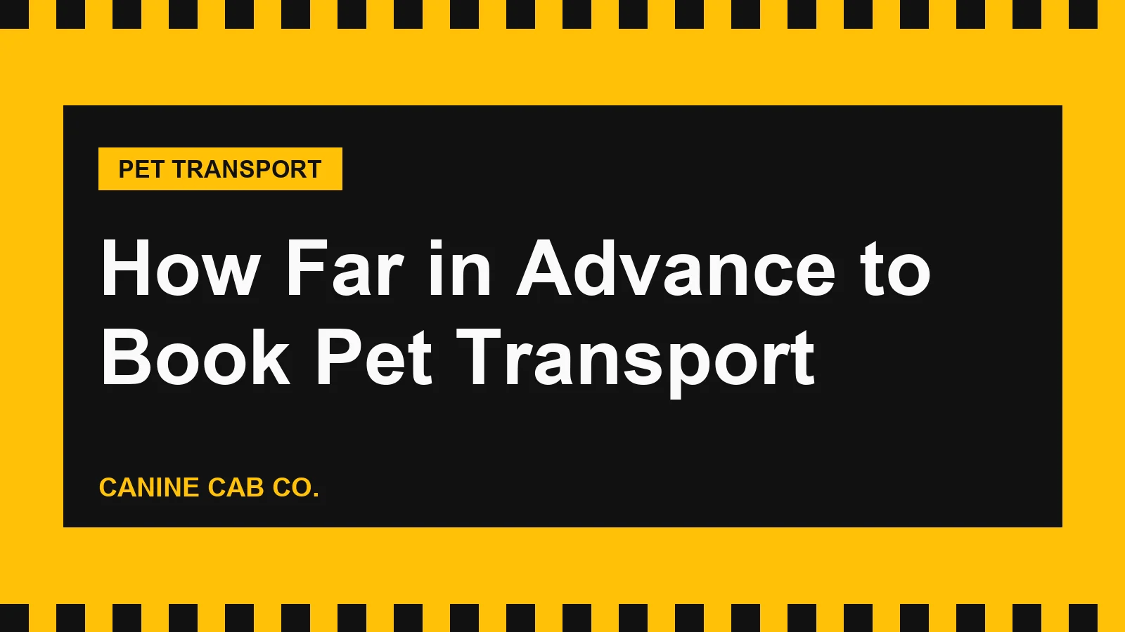 How Far in Advance to Book Pet Transport