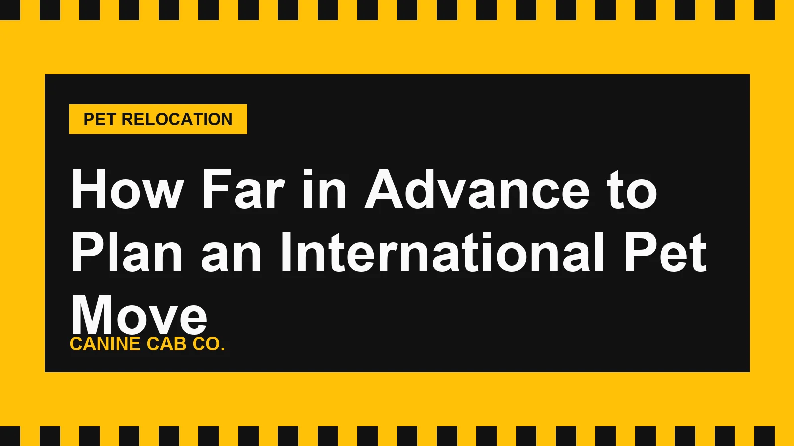 How Far in Advance to Plan an International Pet Move