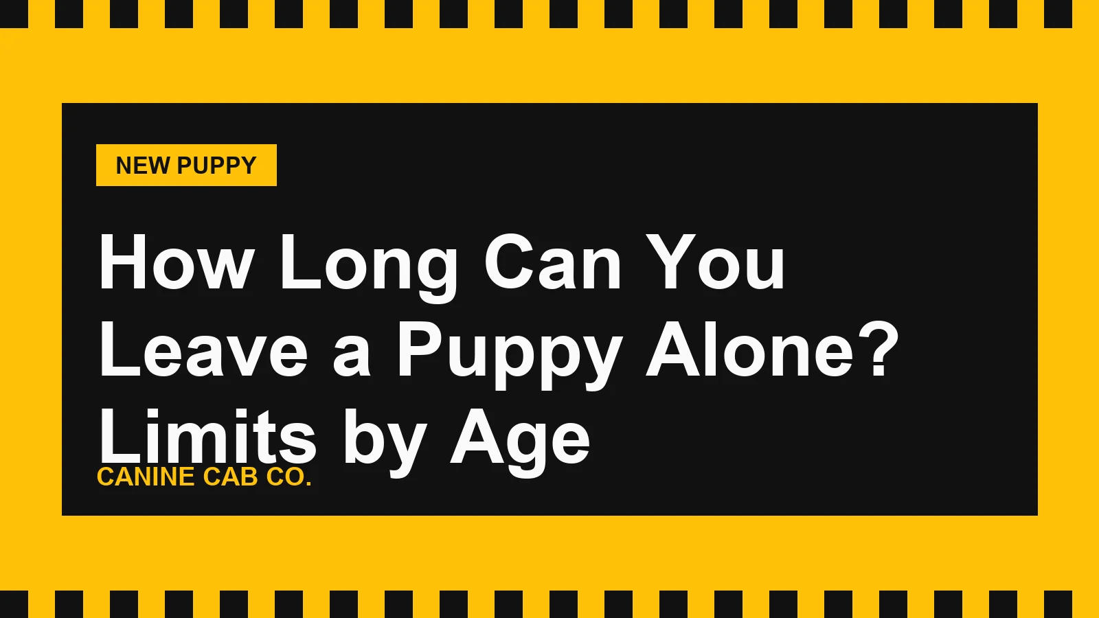 How Long Can You Leave a Puppy Alone? Limits by Age