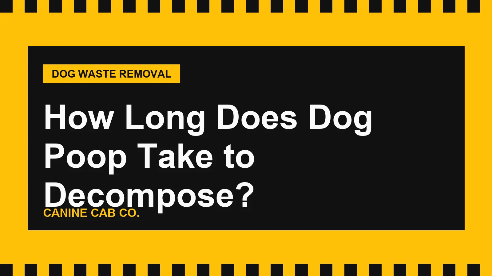 How Long Does Dog Poop Take to Decompose?