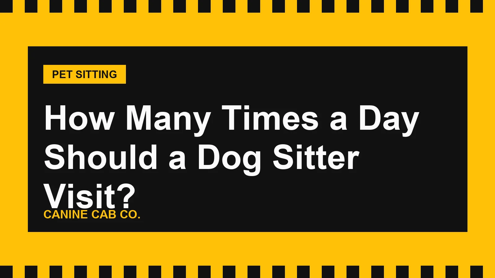 How Many Times a Day Should a Dog Sitter Visit?