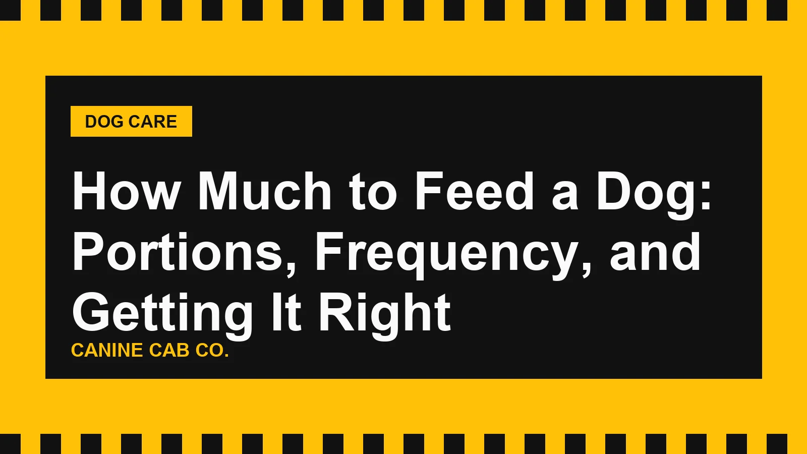 How Much to Feed a Dog: Portions, Frequency, and Getting It Right
