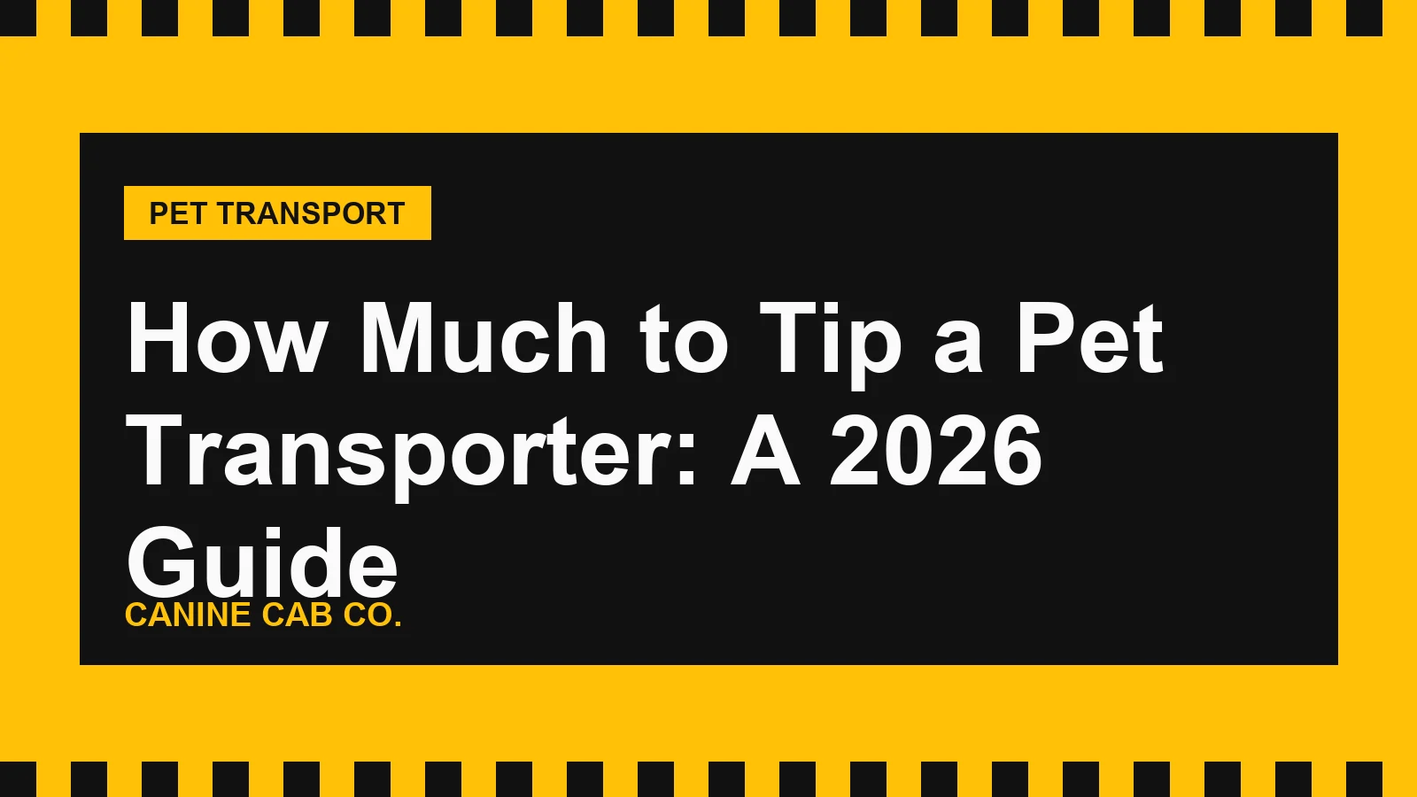 How Much to Tip a Pet Transporter: A 2026 Guide