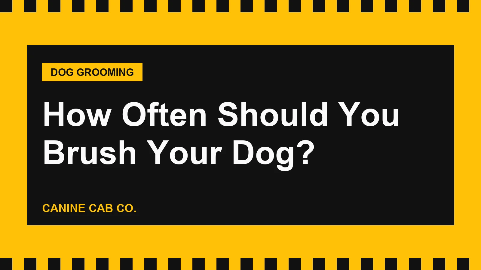 How Often Should You Brush Your Dog?