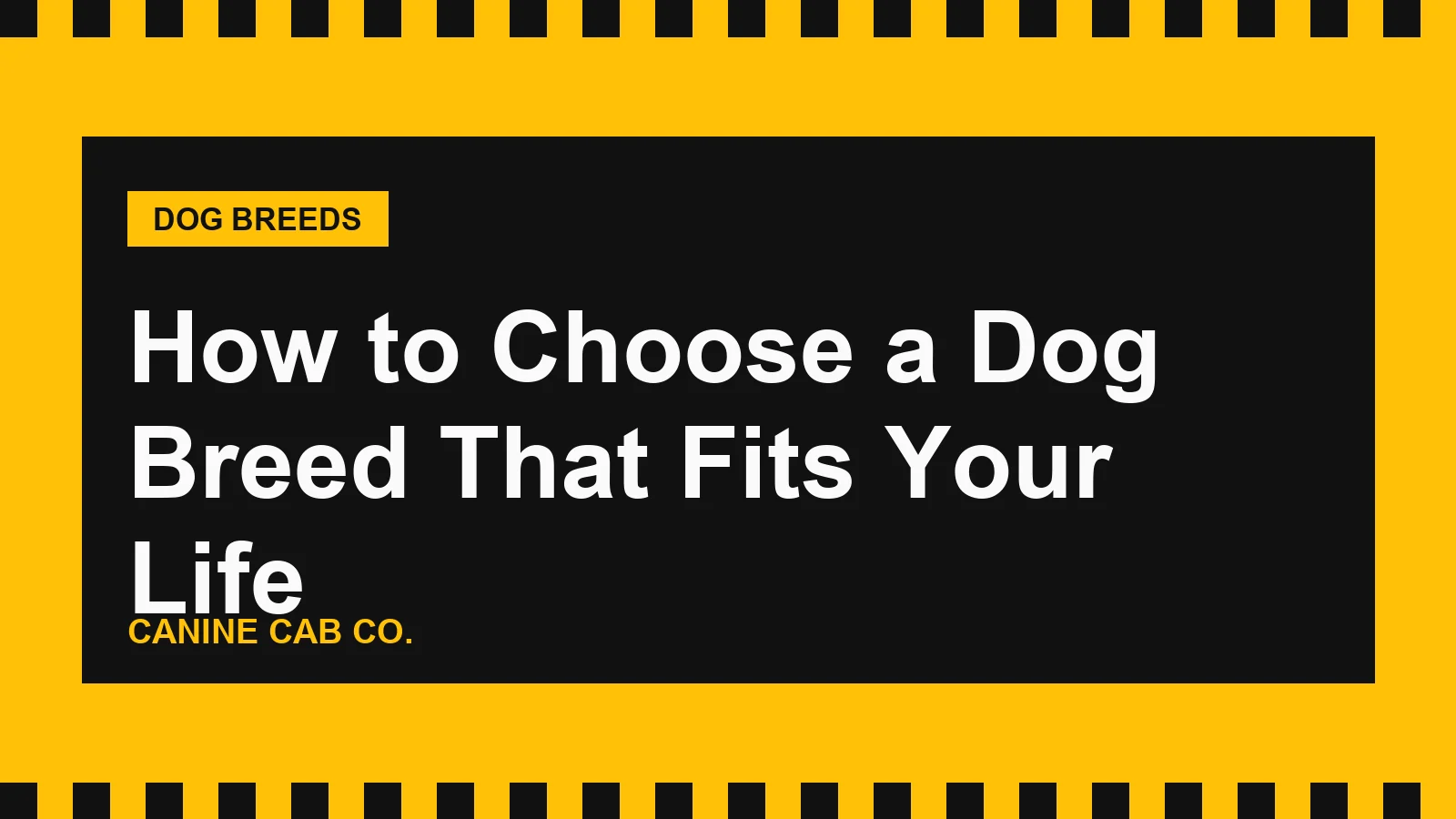 How to Choose a Dog Breed That Fits Your Life