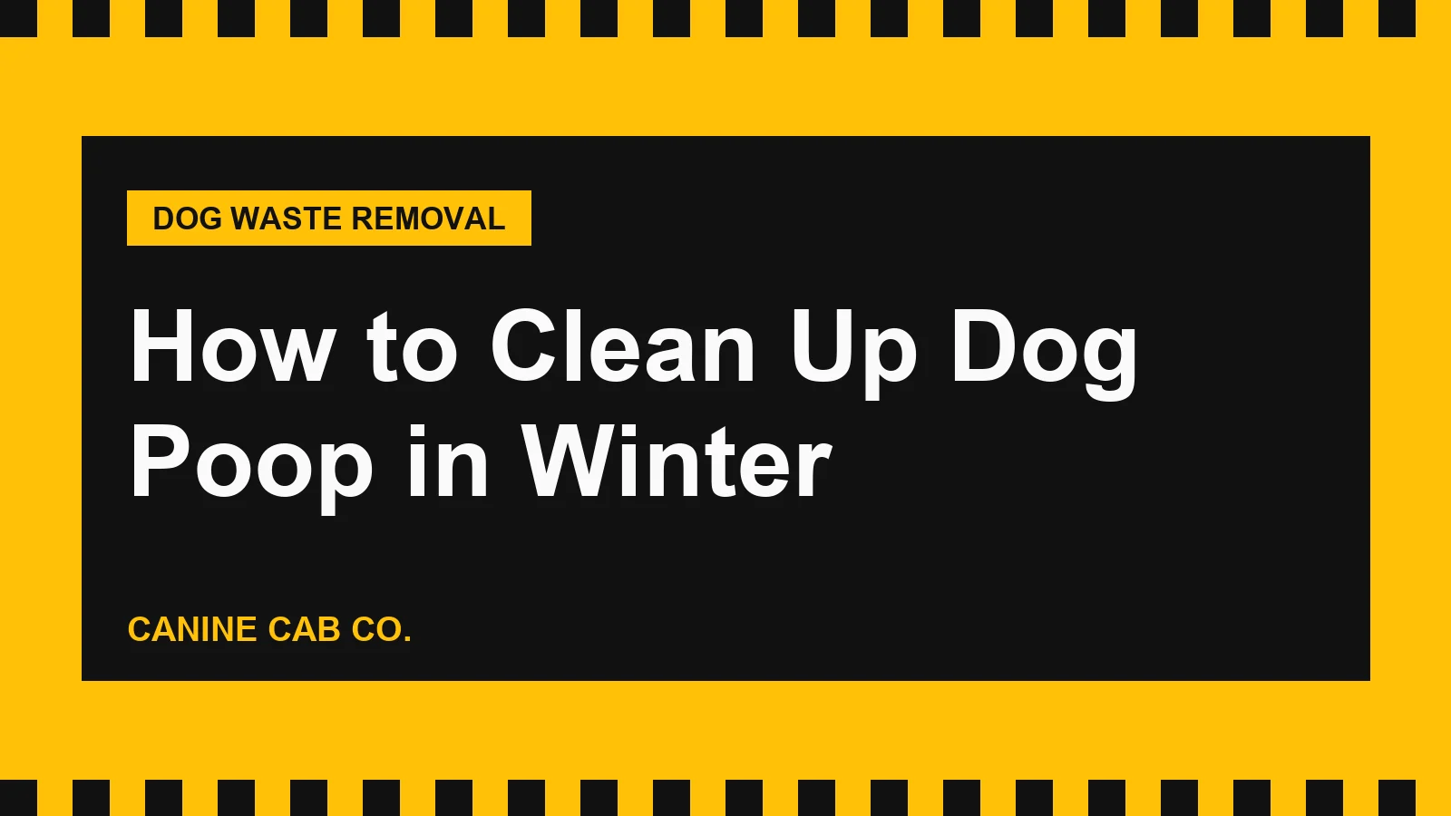 How to Clean Up Dog Poop in Winter