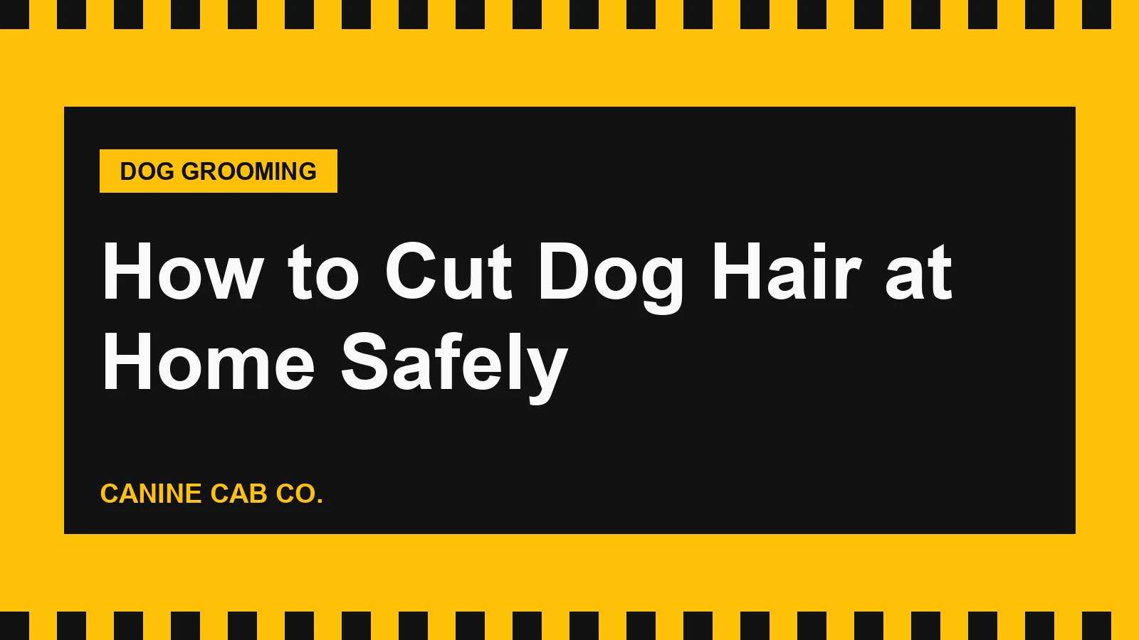How to Cut Dog Hair at Home Safely