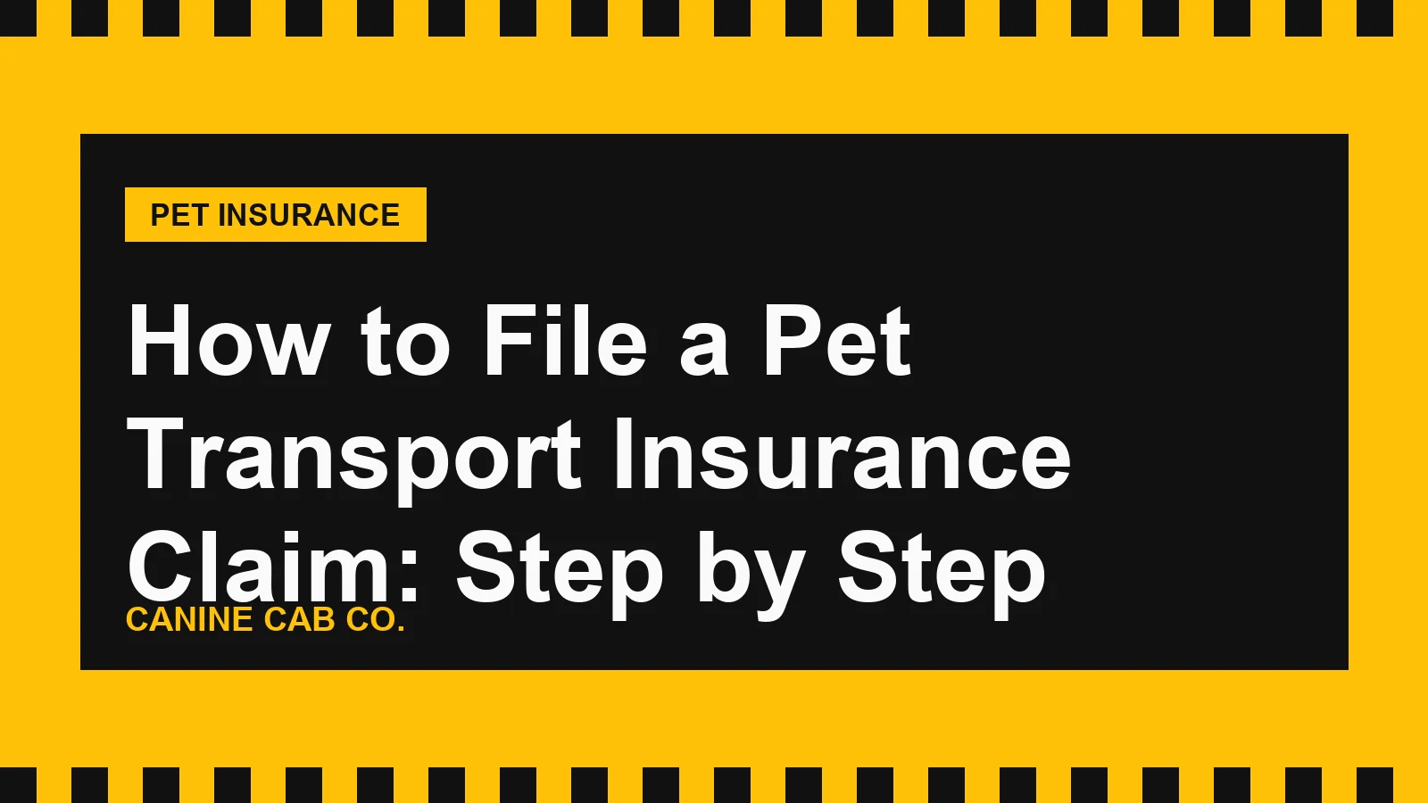 How to File a Pet Transport Insurance Claim: Step by Step