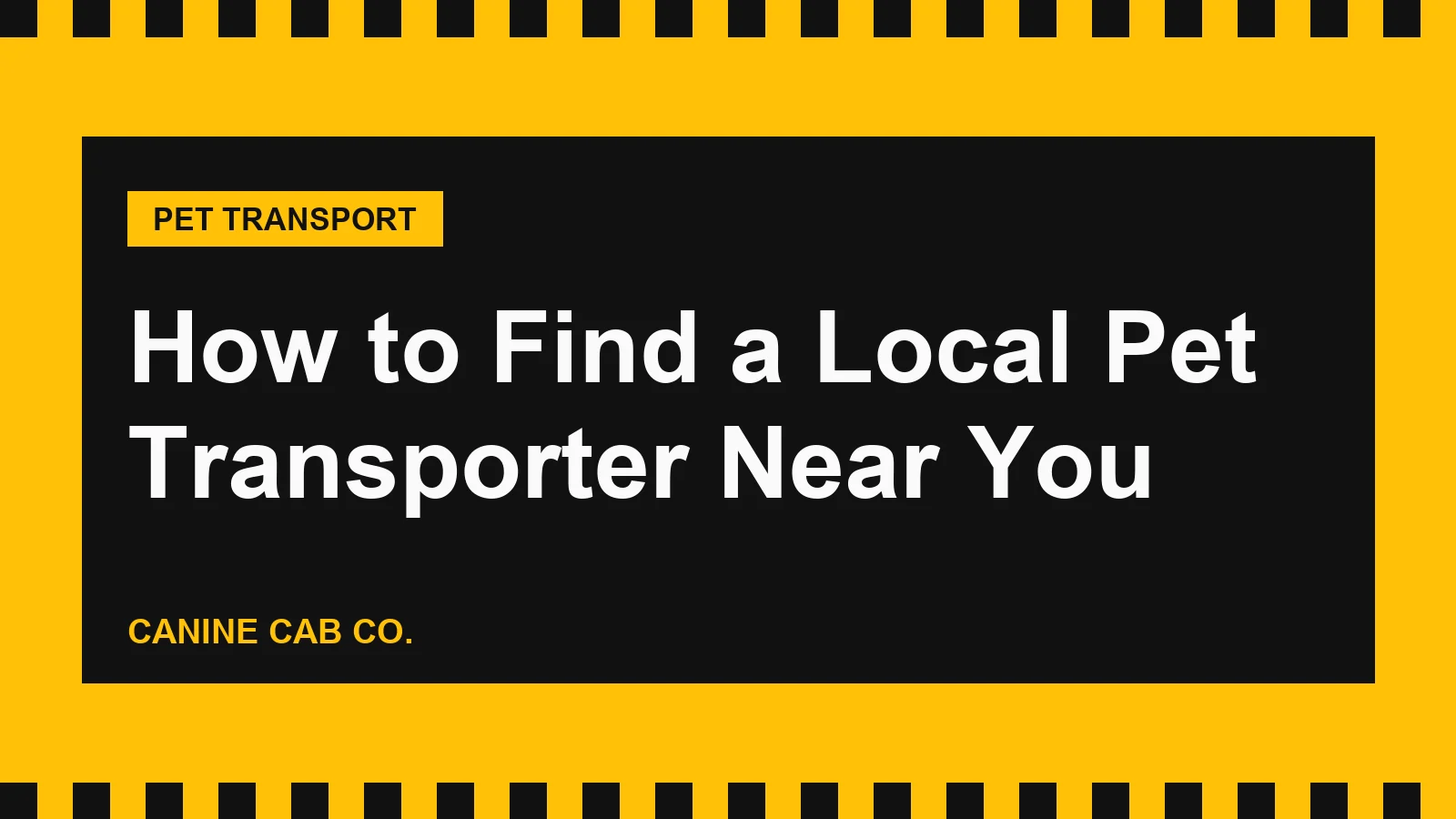How to Find a Local Pet Transporter Near You