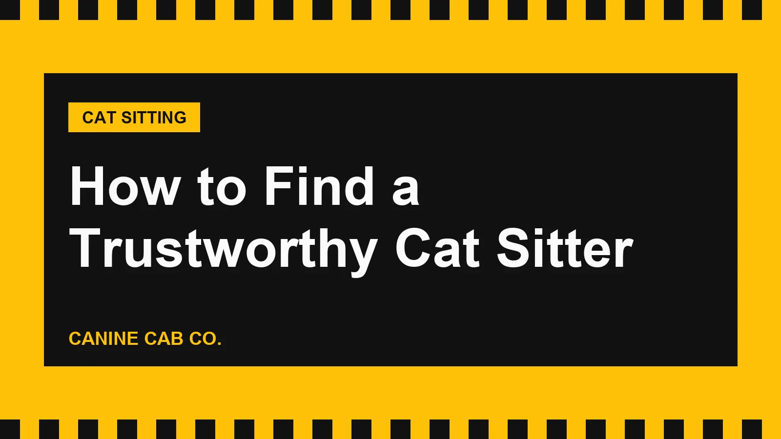 How to Find a Trustworthy Cat Sitter