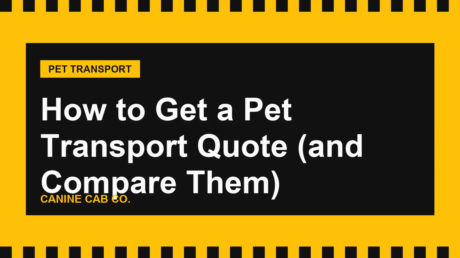 How to Get a Pet Transport Quote (and Compare Them)