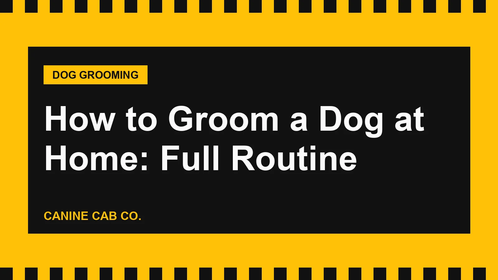 How to Groom a Dog at Home: Full Routine