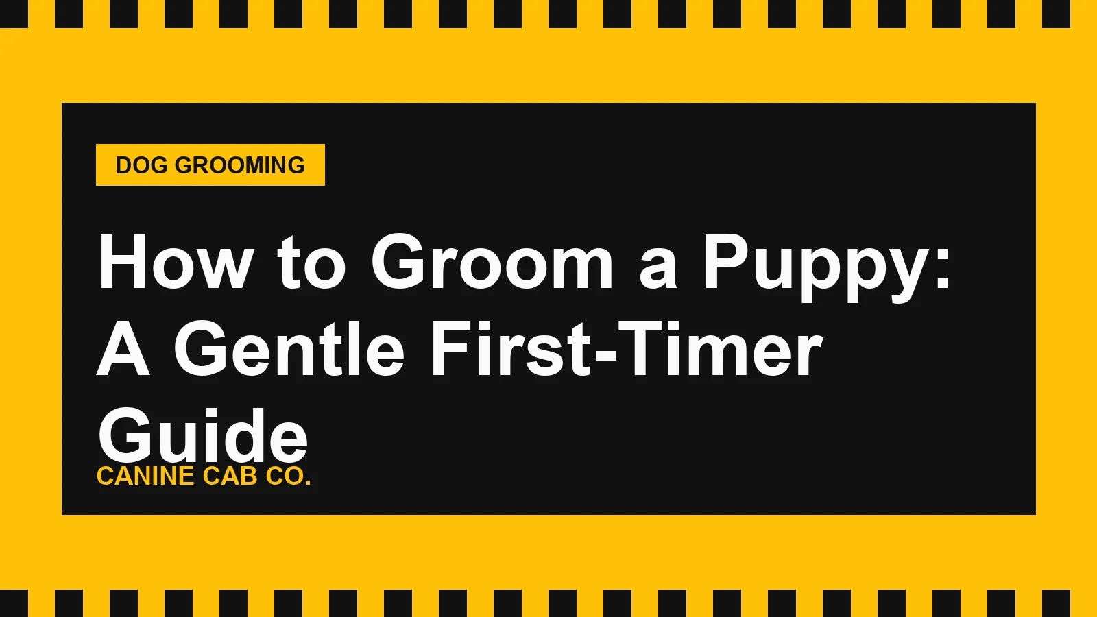 How to Groom a Puppy: A Gentle First-Timer Guide