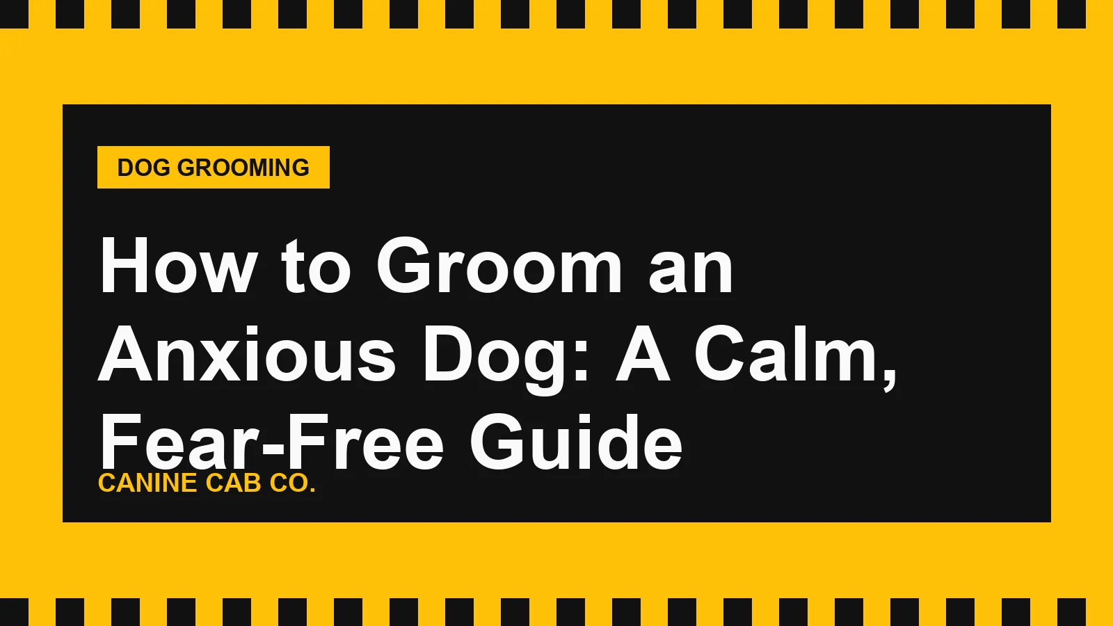 How to Groom an Anxious Dog: A Calm, Fear-Free Guide