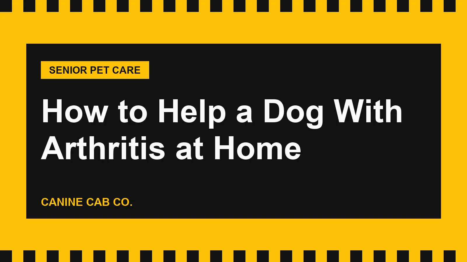 How to Help a Dog With Arthritis at Home