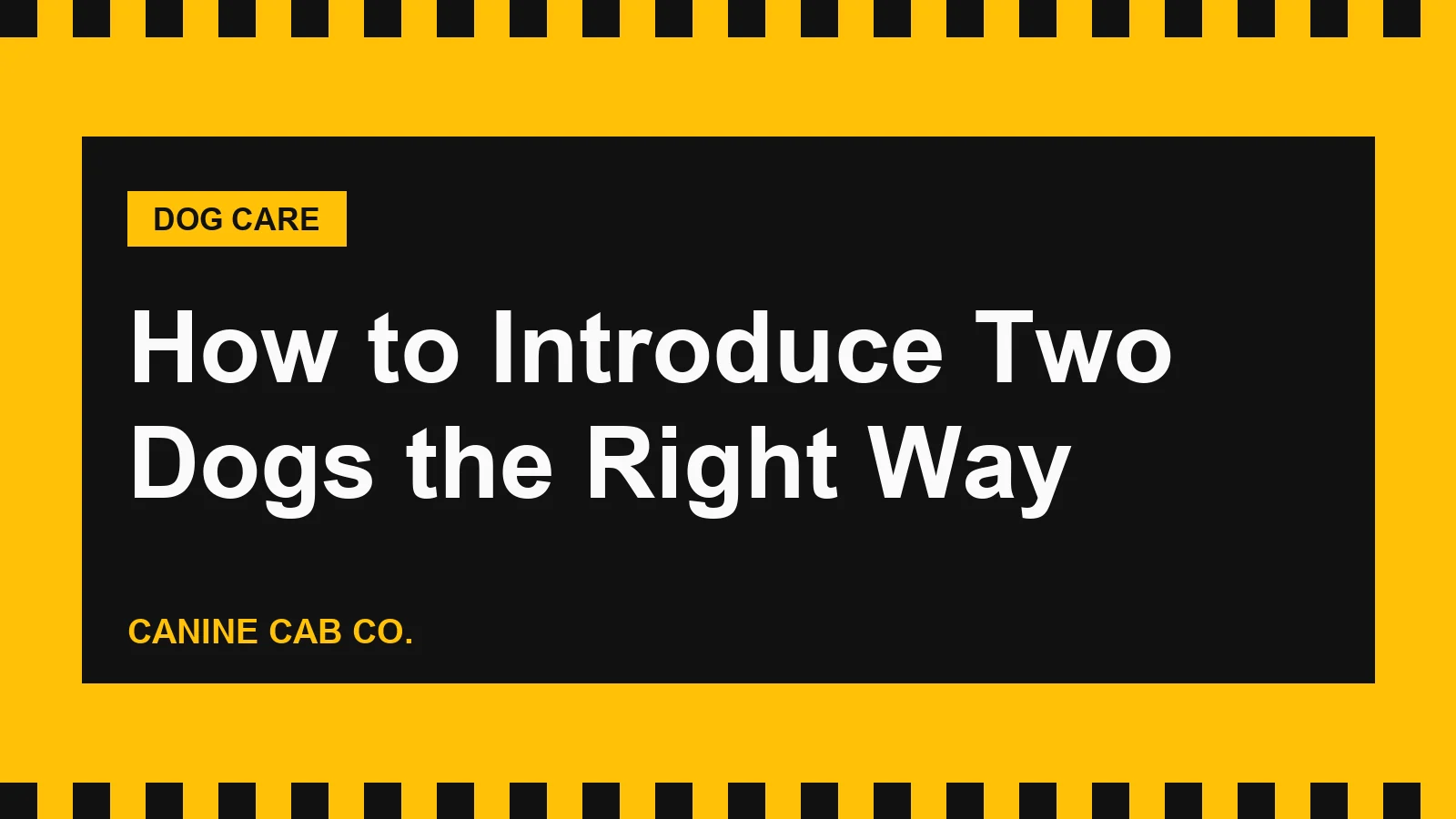 How to Introduce Two Dogs the Right Way
