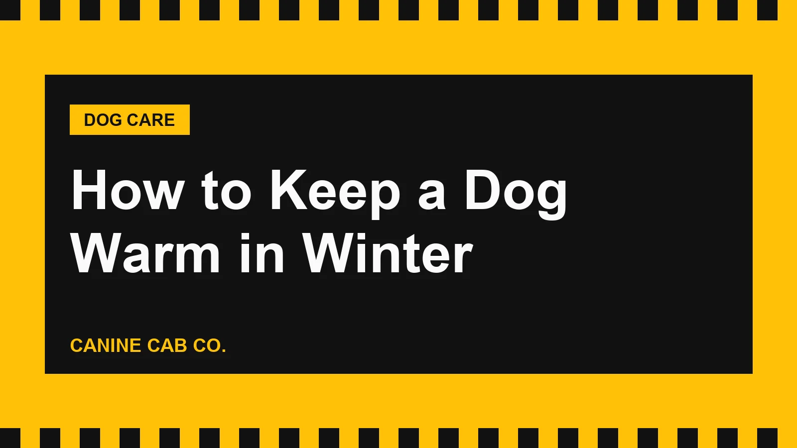 How to Keep a Dog Warm in Winter