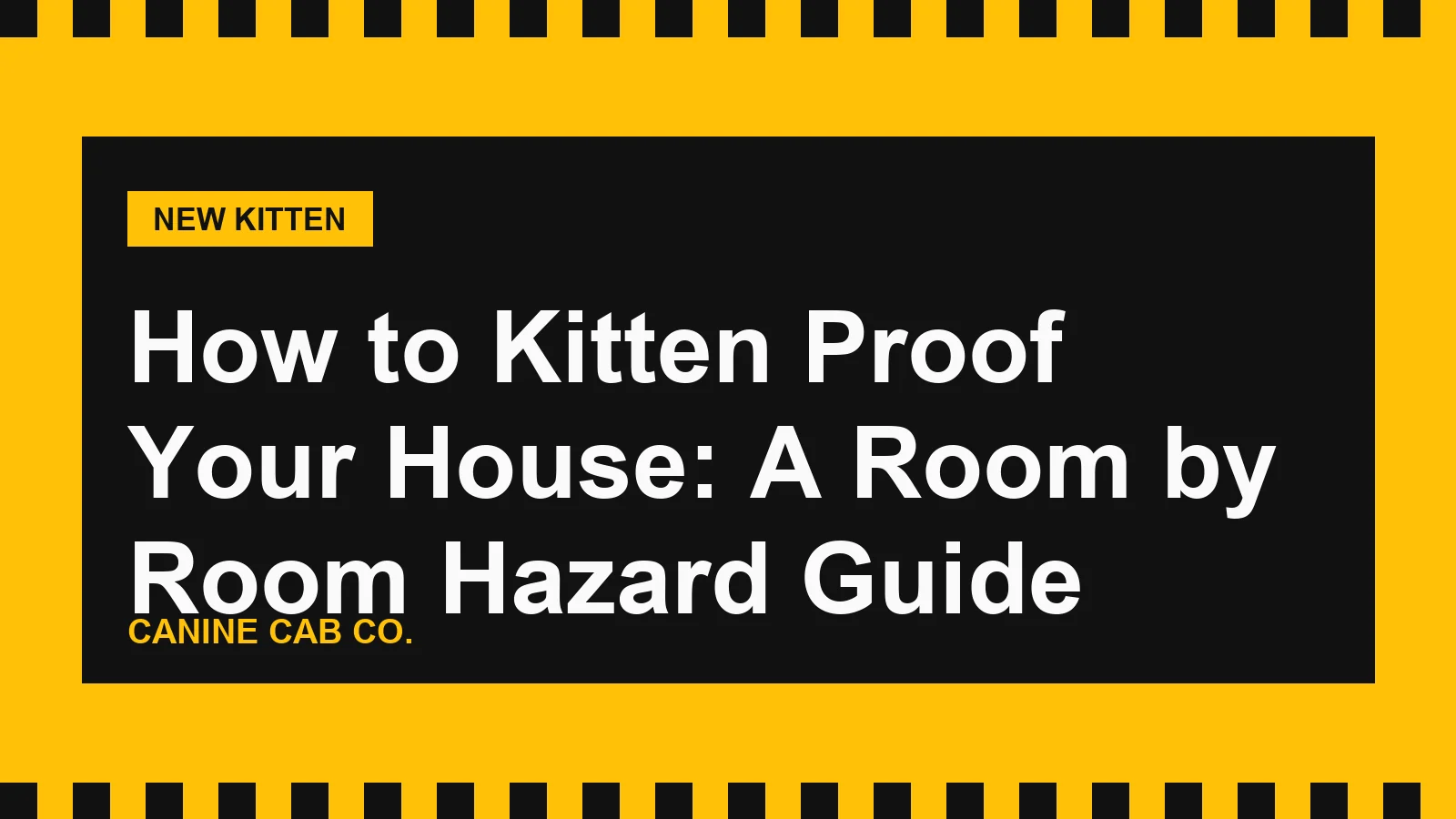 How to Kitten Proof Your House: A Room by Room Hazard Guide