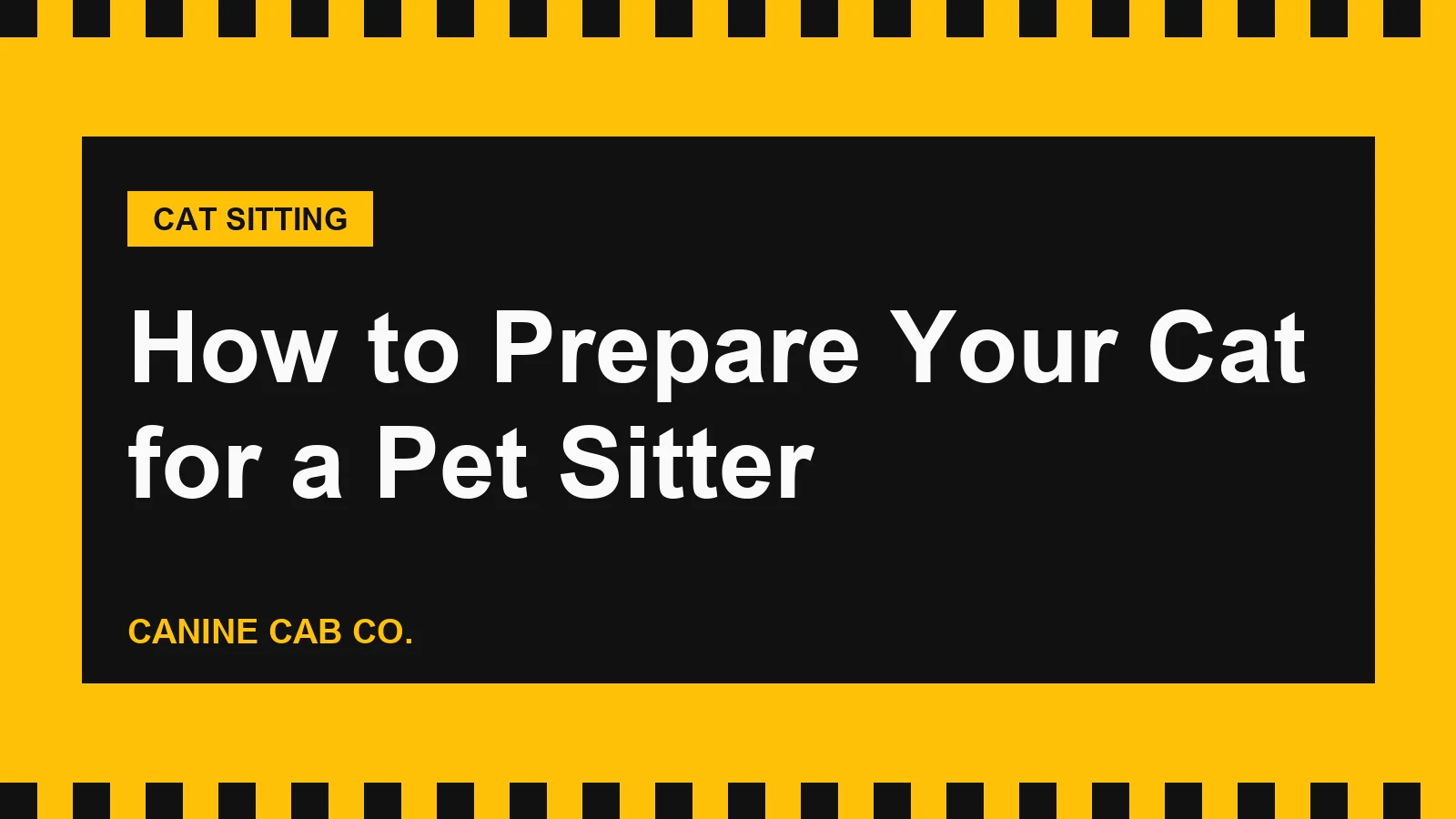 How to Prepare Your Cat for a Pet Sitter
