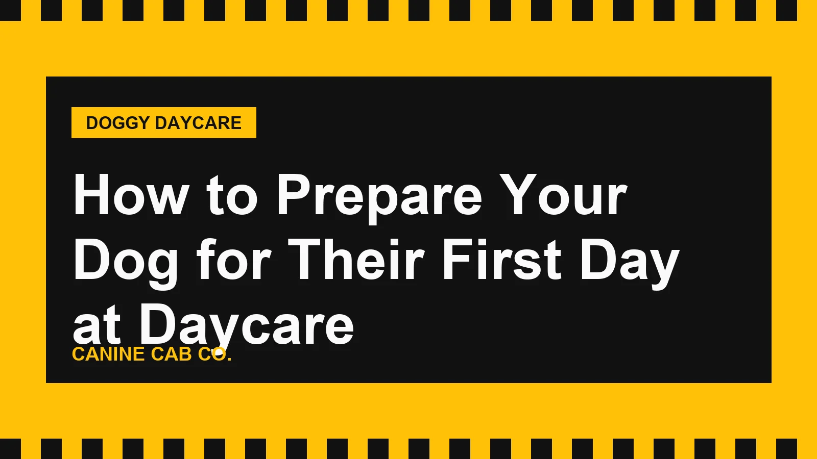 How to Prepare Your Dog for Their First Day at Daycare