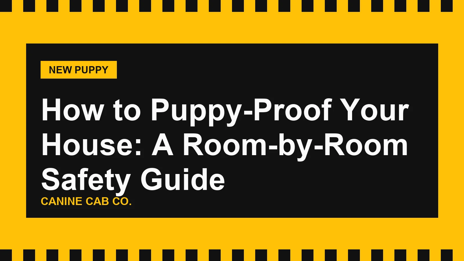 How to Puppy-Proof Your House: A Room-by-Room Safety Guide