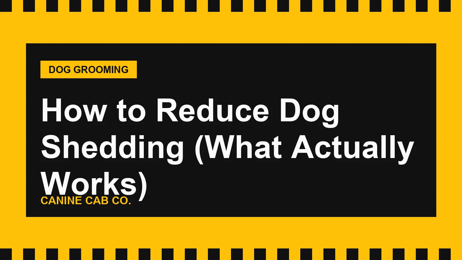 How to Reduce Dog Shedding (What Actually Works)