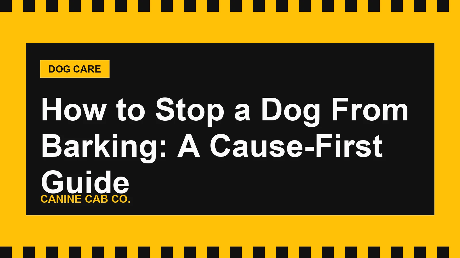 Calm dog sitting quietly by a window, illustrating how to stop a dog from barking