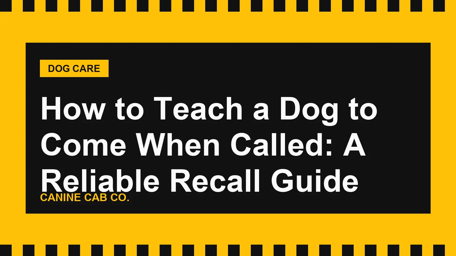 How to Teach a Dog to Come When Called: A Reliable Recall Guide