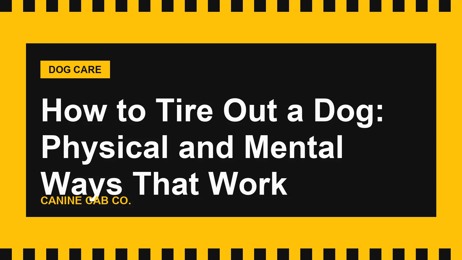 How to Tire Out a Dog: Physical and Mental Ways That Work