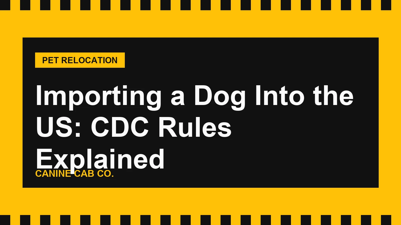 Importing a Dog Into the US: CDC Rules Explained