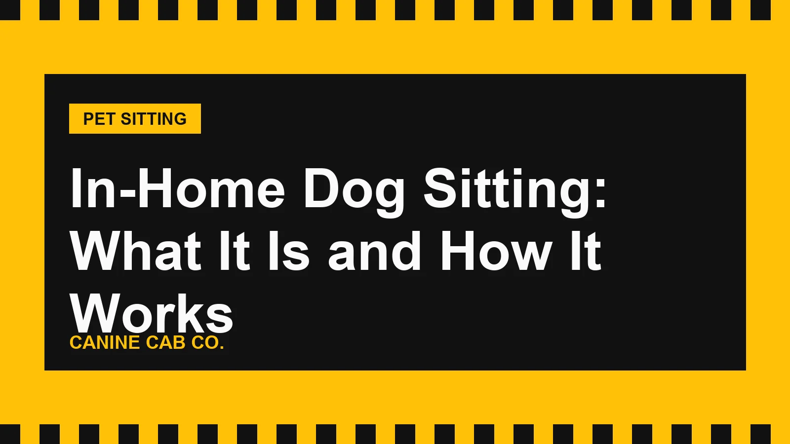 In-Home Dog Sitting: What It Is and How It Works