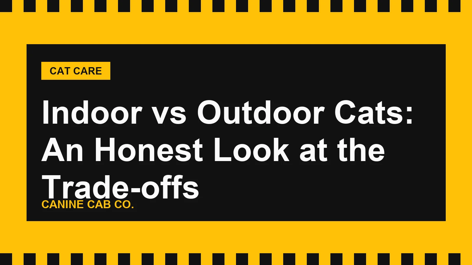 Indoor vs Outdoor Cats: An Honest Look at the Trade-offs