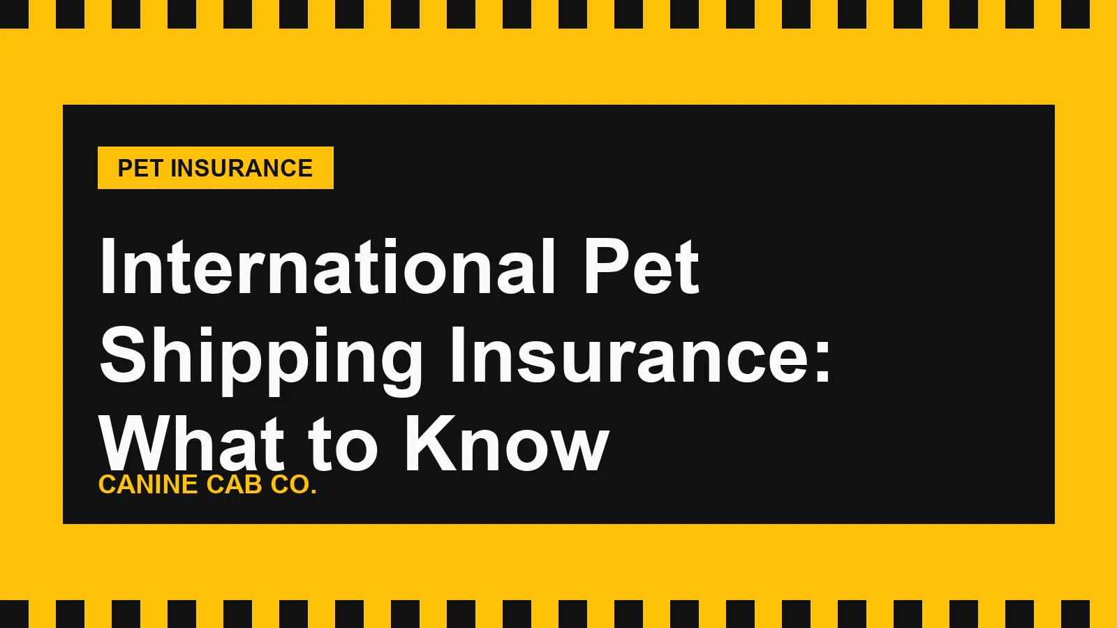 International Pet Shipping Insurance: What to Know