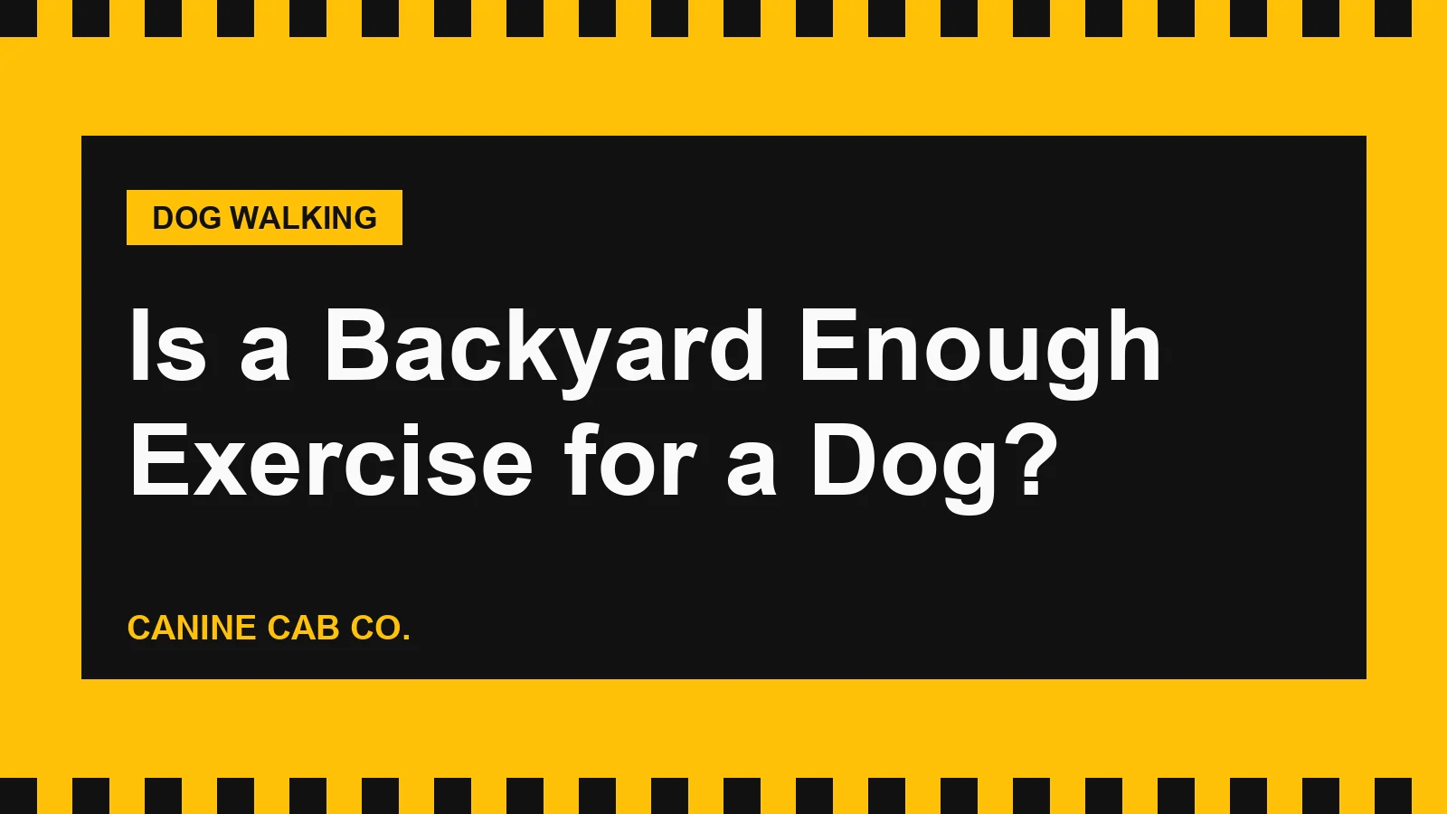 Is a Backyard Enough Exercise for a Dog?