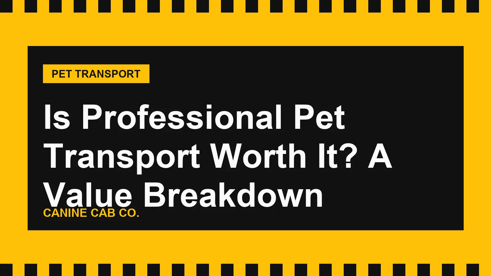 Is Professional Pet Transport Worth It? A Value Breakdown