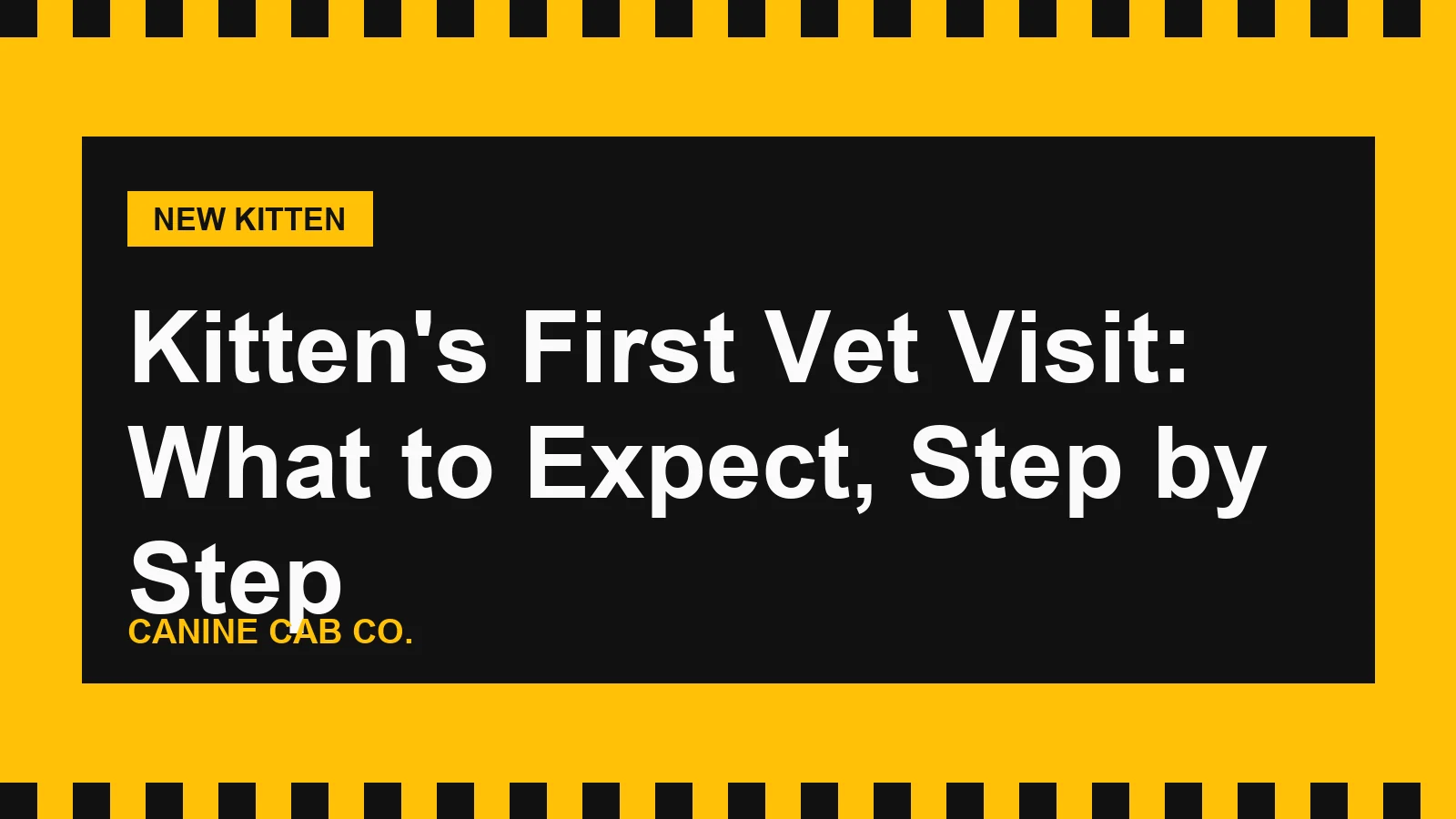 Kitten's First Vet Visit: What to Expect, Step by Step