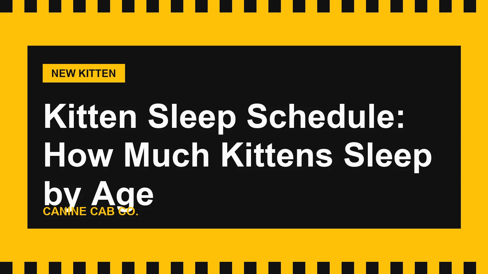 Kitten Sleep Schedule: How Much Kittens Sleep by Age